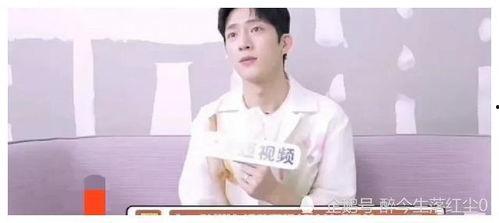 娱乐圈吃瓜李宏毅是谁,揭秘他的明星之路