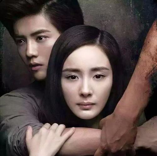 娱乐圈吃瓜杨幂鹿晗,杨幂鹿晗瓜田乱舞，揭秘幕后真相