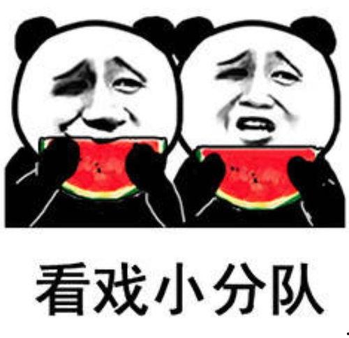 娱乐吃瓜酱图片表情包可爱,可爱萌态，笑点满满