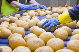 娱乐吃瓜酱土豆视频,土豆视频带你领略趣味横生的娱乐圈