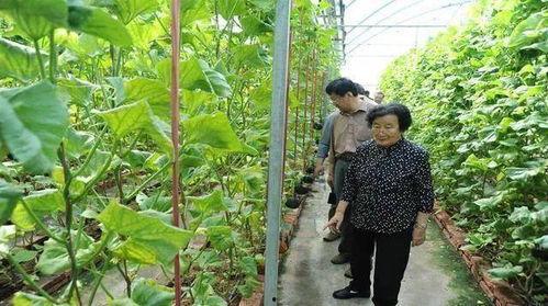 娱乐吃瓜酱是怎么赚钱的,揭秘网红如何通过吃瓜赚钱的秘密