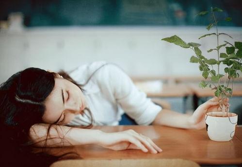 爱如火娱乐吃瓜酱,揭秘娱乐圈幕后风云