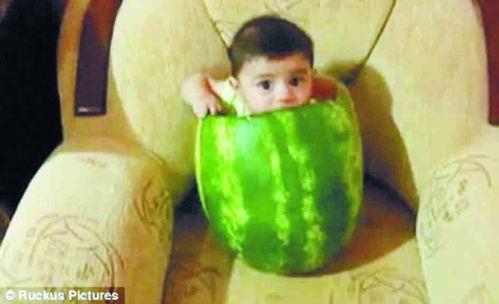 娱乐大嘴吃瓜视频大全,揭秘娱乐圈幕后故事与精彩瞬间