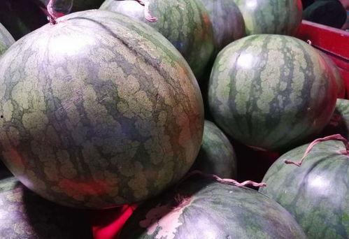 娱乐圈吃瓜买西瓜,娱乐圈瓜田乐享西瓜时光