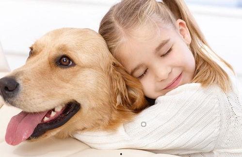 娱乐吃瓜菌宠物,揭秘娱乐圈中的萌宠生活