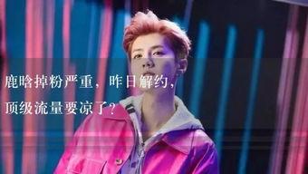 娱乐吃瓜男主是谁,揭秘娱乐圈神秘男主角的真实身份