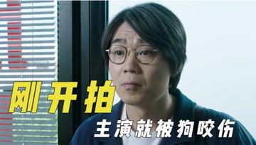 娱乐吃瓜君668,揭秘娱乐圈背后的那些事儿