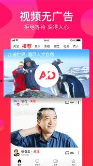 吃瓜娱乐配音视频下载安装,娱乐配音视频下载安装指南